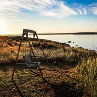 发手机号软件app