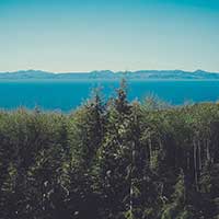 秋思手机号轰炸平台