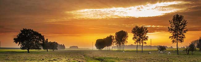 手机被攻击连续收电话